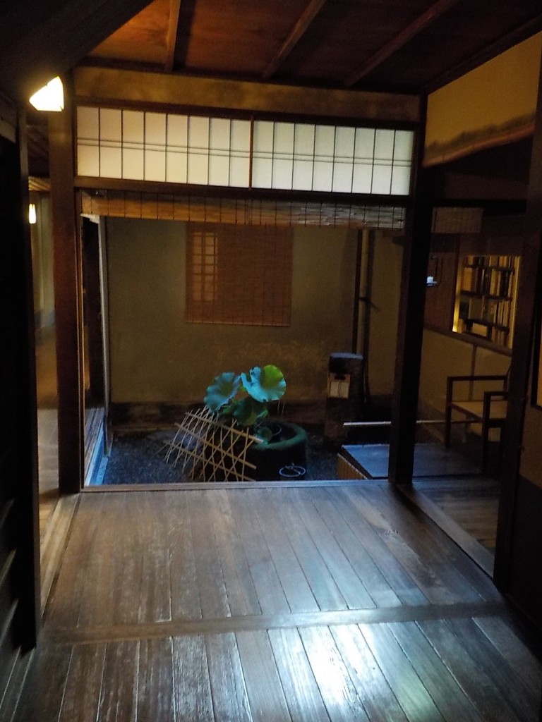 DSCN9601